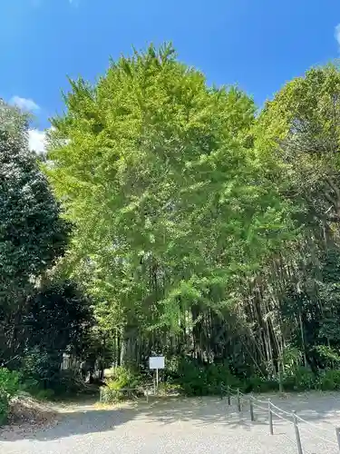 唯称寺(滋賀県)