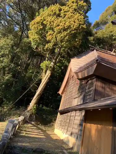 志多里八幡宮の本殿・本堂