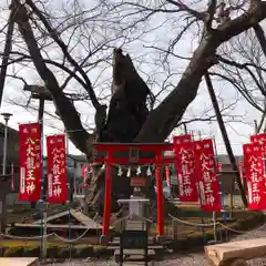 秩父今宮神社の建物その他