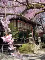 水火天満宮(京都府)