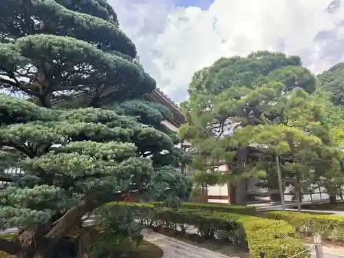 慈照寺（慈照禅寺・銀閣寺）の庭園