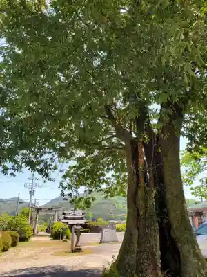 阿陀岡神社の自然