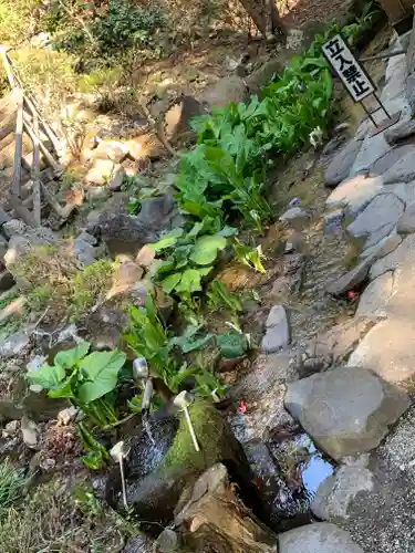 妙雲寺の庭園