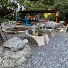 亀岡八幡宮の狛犬