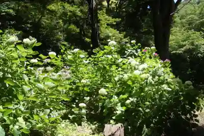 井伊神社(滋賀県)
