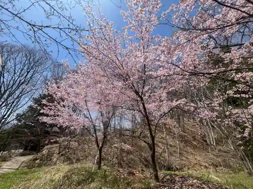 国宝 大法寺(長野県)