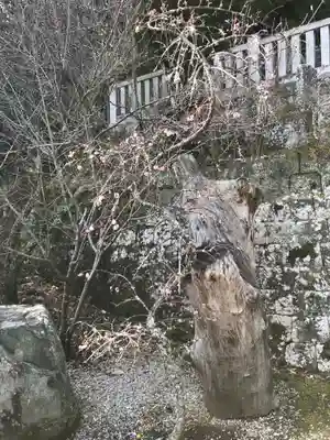 高家神社のその他建物