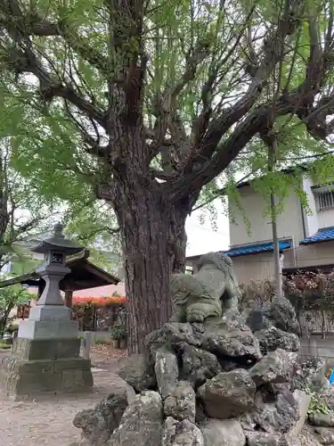 本塩豊受神社(千葉県)