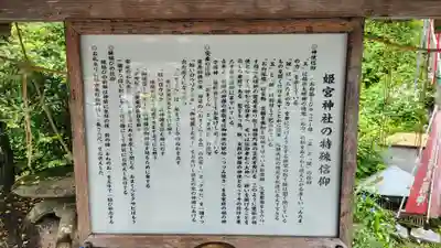 姫宮神社(宮城県)