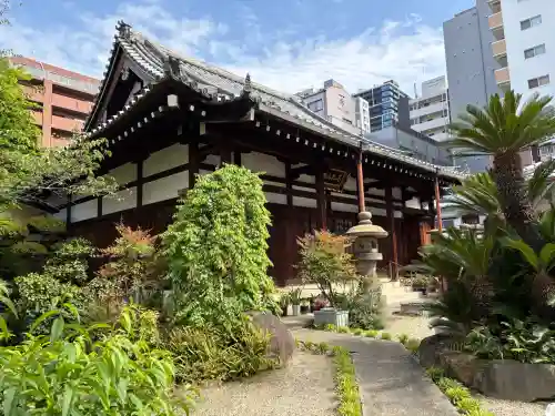 正念寺の{uncategorized: "未分類", other: "その他", undefined: "問題あり", building: "その他建物", grave: "お墓", sacred_gate: "鳥居", guardian: "狛犬", statue: "像", buddha: "仏像", history: "歴史", nature: "自然", garden: "庭園", animal: "動物", pagoda: "塔", temizu: "手水舎", mountain_gate: "山門・神門", sanctuary: "本殿・本堂", subordinate: "末社・摂社", art: "芸術", scenery: "景色", jizo: "地蔵", ema: "絵馬", goshuin: "御朱印", omikuji: "おみくじ", items: "授与品その他", amulet: "お守り", goshuincho: "御朱印帳", eats: "食事", festival: "お祭り", votive_dance: "神楽", shichigosan: "七五三参", wedding: "結婚式", experience: "体験その他", initially: "初詣", around: "周辺", anti_infection: "感染症対策"}