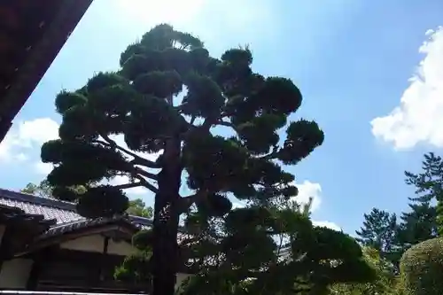 東南院（東大寺本坊）の庭園