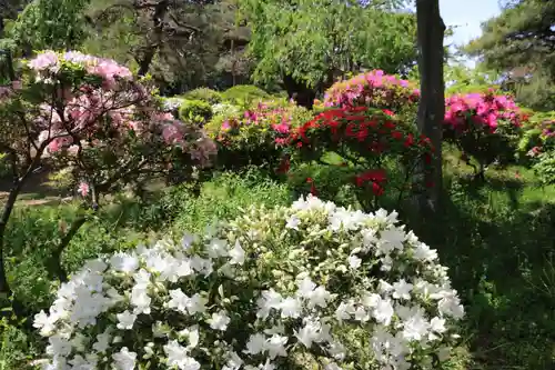 開成山大神宮の庭園