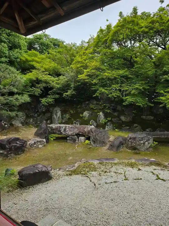 高台寺(高台寿聖禅寺・高臺寺)(京都府)