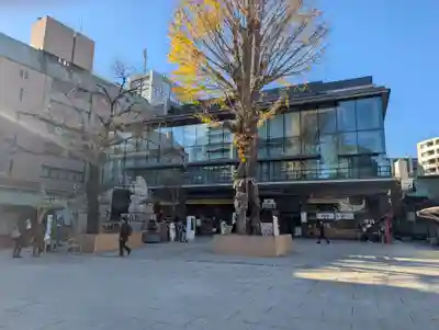 神田神社（神田明神）の自然
