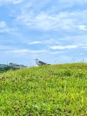 蕪嶋神社(青森県)