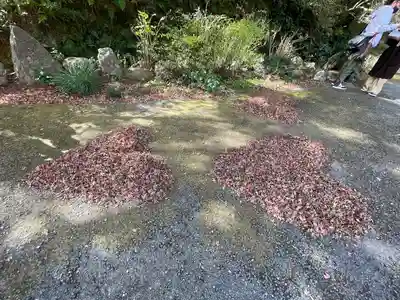 普門寺(切り絵御朱印発祥の寺)(愛知県)