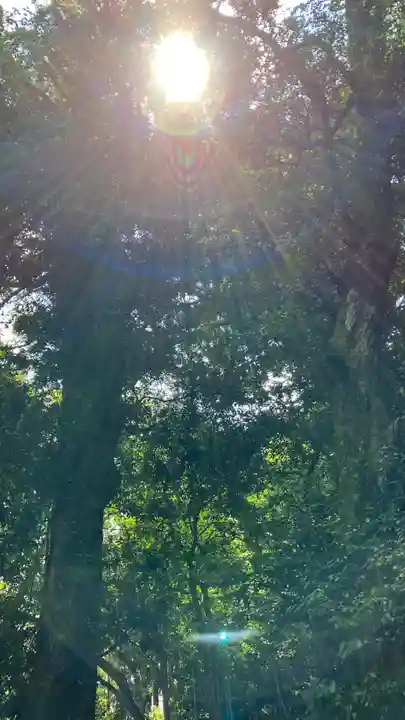 八重垣神社の自然