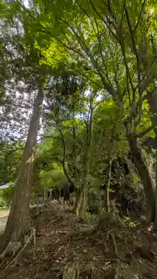 正法寺(滋賀県)