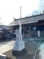 櫻岡大神宮の狛犬