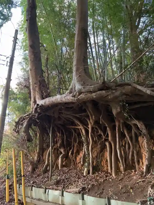 八幡神社(千葉県)