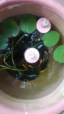 観音寺のその他建物