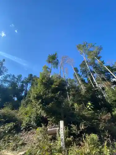 自玉手祭来酒解神社(京都府)