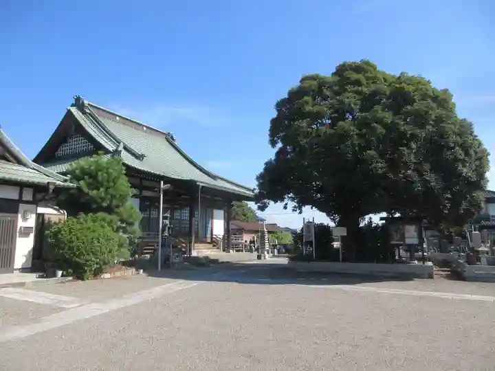 星福寺(埼玉県)