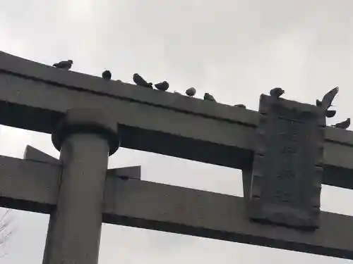 福井神社(福井県)