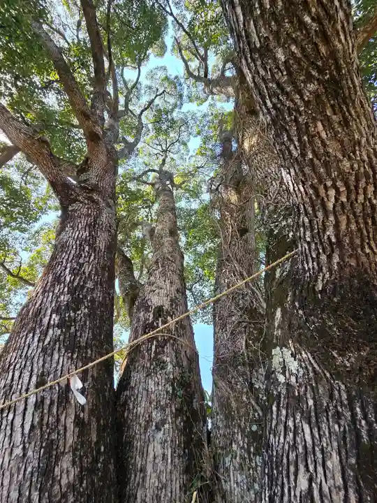 サムハラ神社 奥の宮(岡山県)