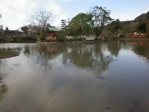 鶴岡八幡宮の庭園