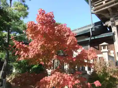 彦島八幡宮(山口県)