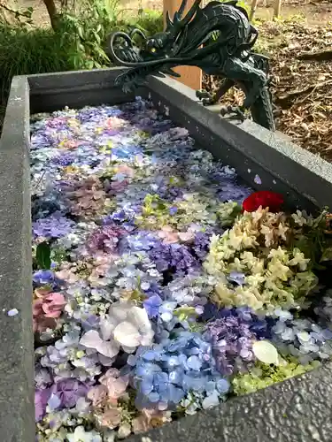 下野 星宮神社の手水舎