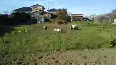 香取神社の動物