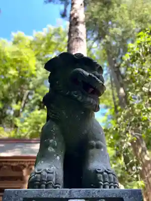 矢彦神社(長野県)
