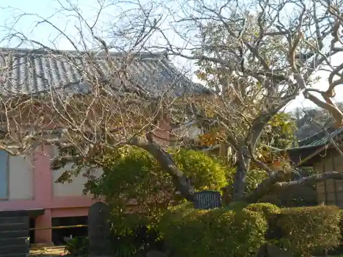 極楽寺（霊鷲山感應院極楽律寺）の景色