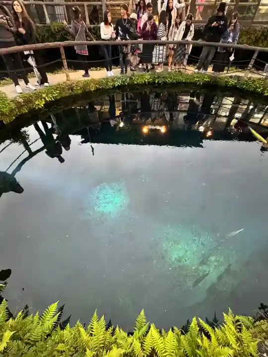 淺間神社(忍野八海)(山梨県)