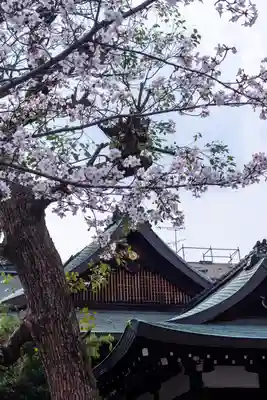 熊野神社(京都府)