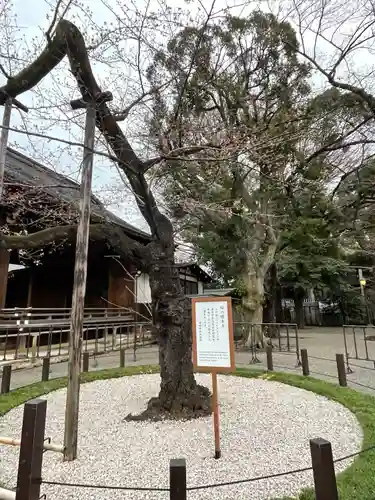 靖國神社の庭園