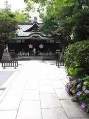 鳥越神社(東京都)