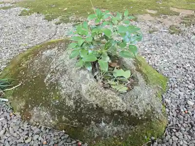 信達神社(大阪府)