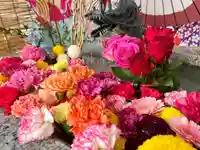 札幌諏訪神社の手水舎