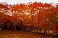 零羊崎神社の自然