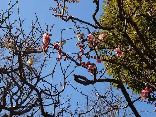西向天神社(東京都)