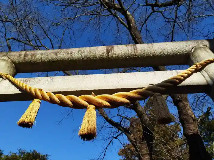 大井氷川神社(埼玉県)