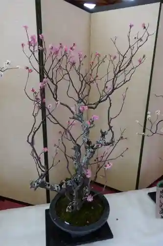 菅原天満宮（菅原神社）(奈良県)