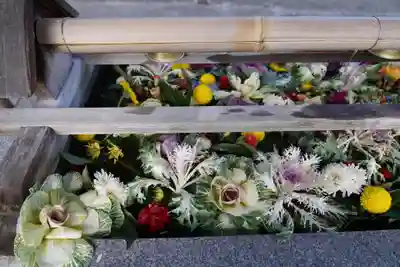 豊景神社の手水舎