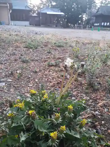 伏木香取神社の自然
