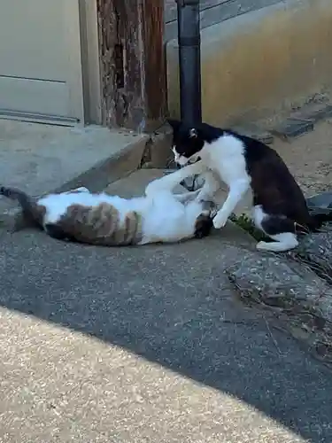 浄瑠璃寺の動物