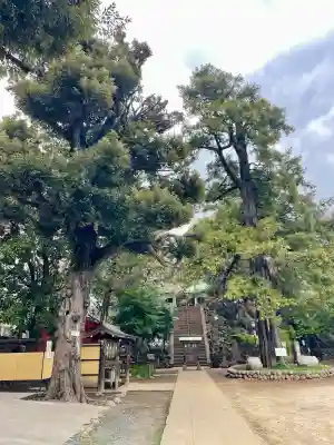 駒込富士神社(東京都)