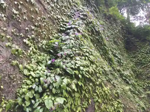 東慶寺(神奈川県)